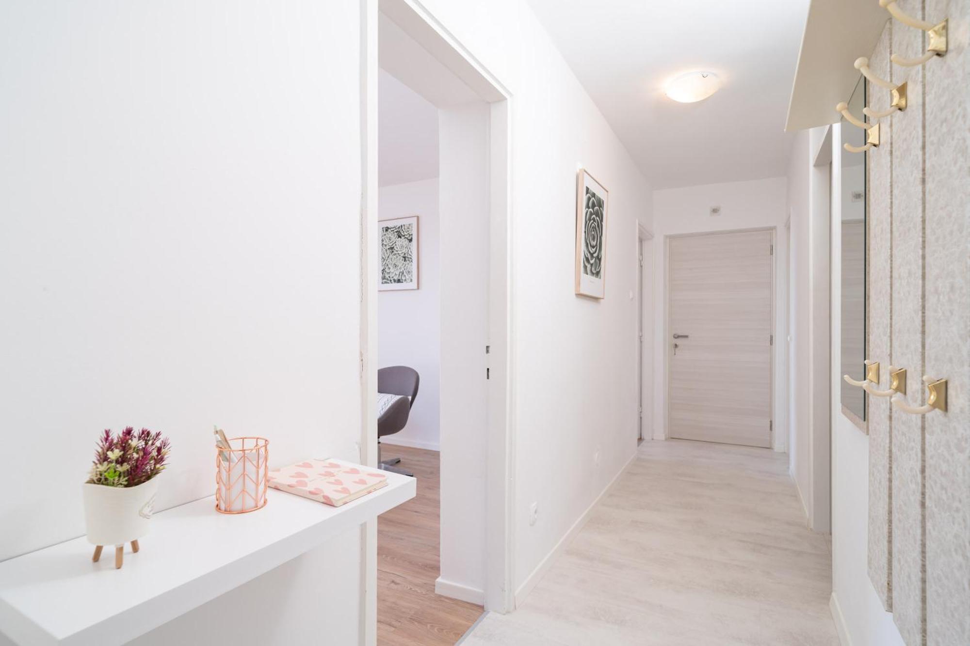 Apartment Baselli Dubrovnik Eksteriør billede